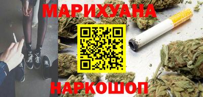 сатива Малгобек