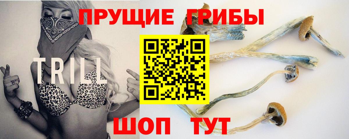 Галлюциногенные грибы мицелий Жигулёвск